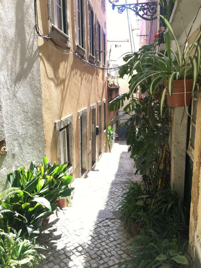 Casa Da Saudade, A Cozy Apartment In Alfama Lisboa Exteriér fotografie